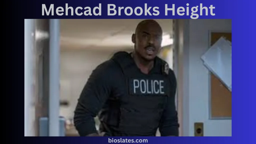 Mehcad Brooks Biography